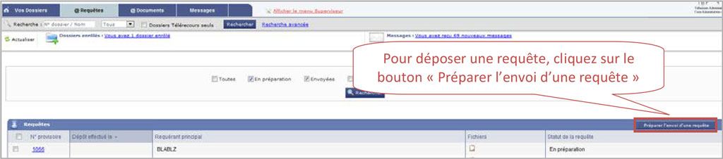 Pour déposer une requête, cliquez sur le bouton « Préparer l’envoi d’une requête »